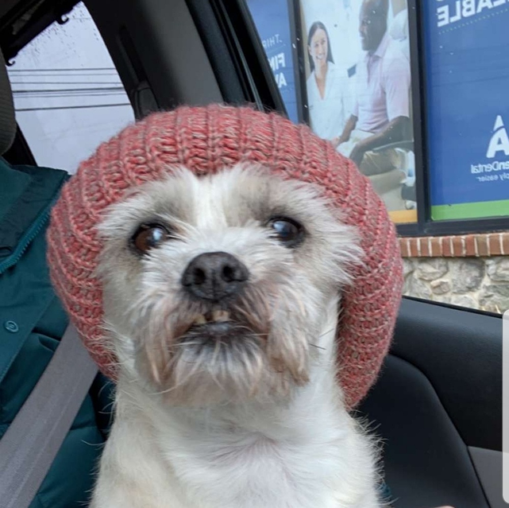 Meet your Posher, Catherine